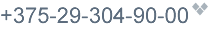 +375-29-304-90-00
